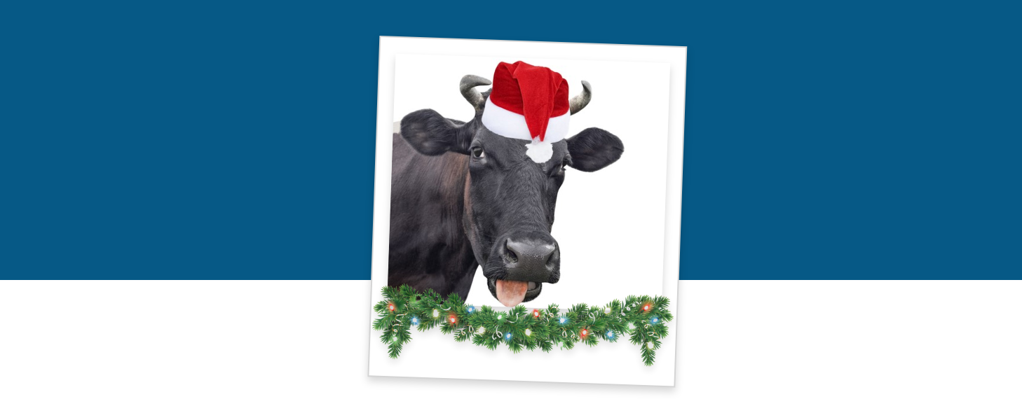 DairyReporter Happy Holidays